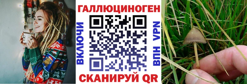 Галлюциногенные грибы мухоморы  ссылка на мегу tor  Назрань 