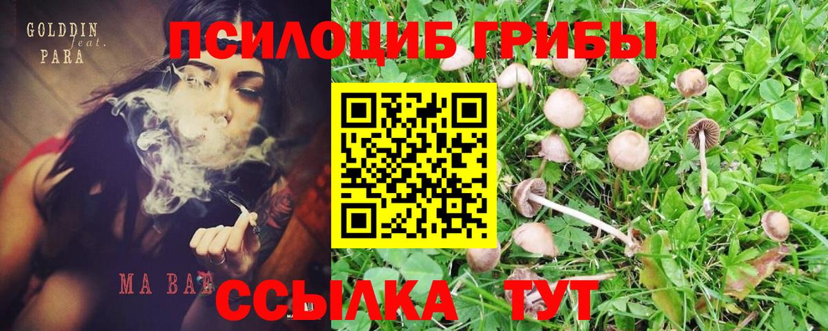 Назрань  Псилоцибиновые грибы ЛСД  Вход с VPN 